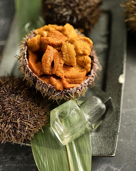 Uni Sashimi